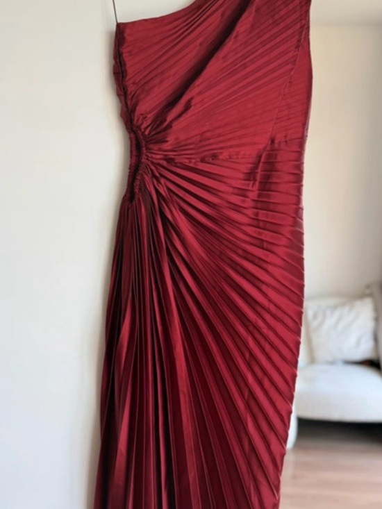 Dress Forum Dresses & Skirts - Dress Forum Wine Red Pleated Asymmetrical Skirt